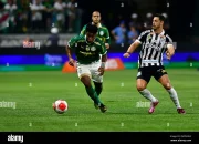 Drama di Allianz Parque: Palmeiras vs Santos Berakhir 1-1 dengan Gol Terkalahkan VAR