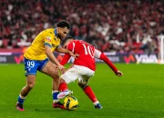 Estoril Praia vs Benfica: Analisis Pertandingan dan Pemain Utama