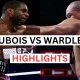 Fabio Wardley vs Daniel Dubois: Pertarungan Sengit di Gelanggang Tinju