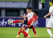 FC Seoul dan Persiapan Pertandingan Antarnegara Korea