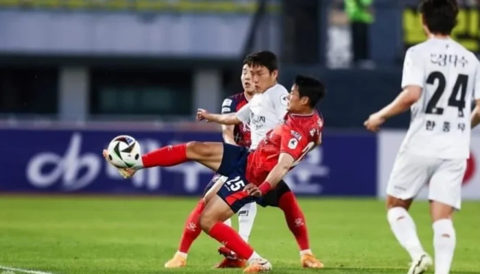 FC Seoul dan Persiapan Pertandingan Antarnegara Korea