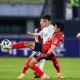FC Seoul dan Persiapan Pertandingan Antarnegara Korea