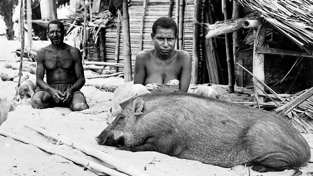 Film Pesta Babi: Mengungkap Realitas Kelam di Balik Proyek Pembangunan di Papua