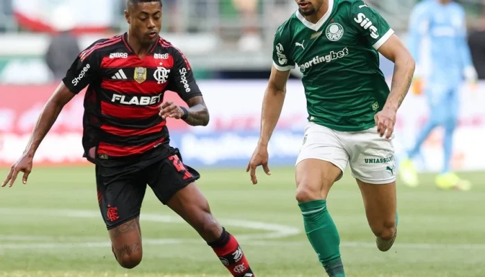 Flamengo vs Palmeiras: Persaingan Sengit di Brasileirão