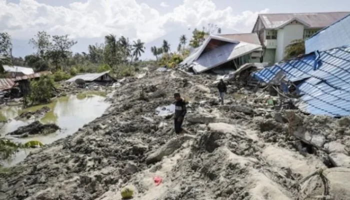 Gempa Manado: Dampak dan Upaya Pemulihan