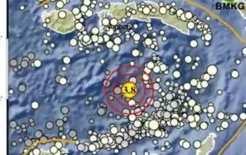 Gempa Terkini di Indonesia: Update Gempa di Buru Selatan dan Gunung Karangetang