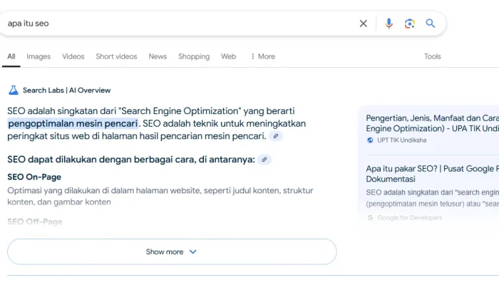 Google Search Berubah Total, Utamakan AI di Hasil Pencarian