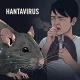 Hantavirus: Ancaman Baru yang Membutuhkan Kesiapsiagaan Masyarakat