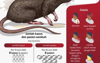 Hantavirus di Indonesia: Fakta dan Risiko Penularan