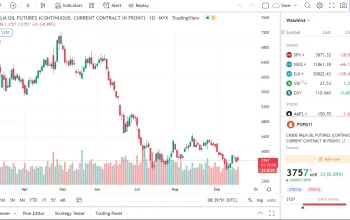 Harga CPO Hari Ini Anjlok, Apa Penyebabnya?