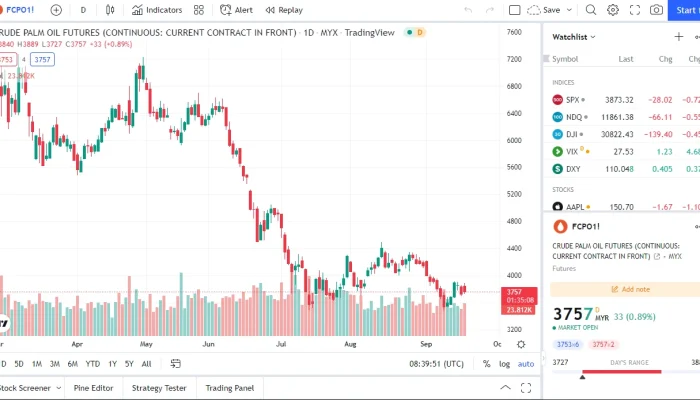 Harga CPO Hari Ini Anjlok, Apa Penyebabnya?