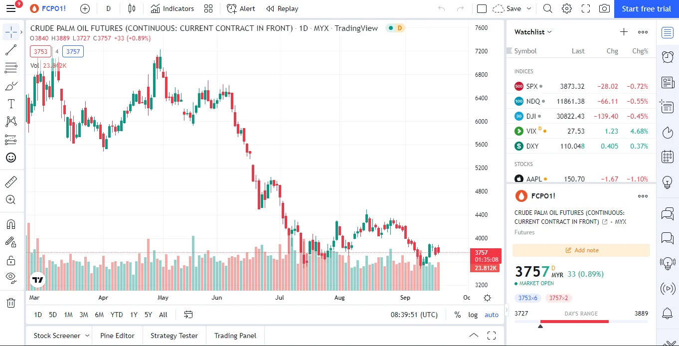Harga CPO Hari Ini Anjlok, Apa Penyebabnya?