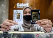 Harga Emas Antam, UBS, dan Galeri24 di Pegadaian Hari Ini, Jumat 8 Mei 2026