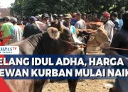 Idul Adha 2026: Arus Balik, Hewan Kurban, dan Kenaikan Harga Pangan
