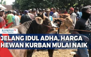 Idul Adha 2026: Arus Balik, Hewan Kurban, dan Kenaikan Harga Pangan