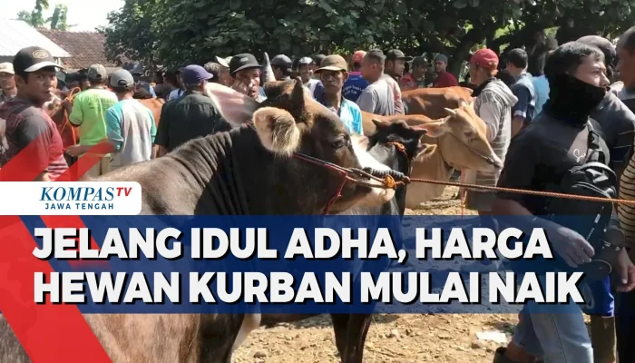 Idul Adha 2026: Arus Balik, Hewan Kurban, dan Kenaikan Harga Pangan