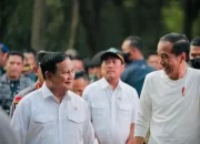 Jokowi Siap Keliling Indonesia, Projo Bantah Tudingan demi Gibran di Pilpres 2029