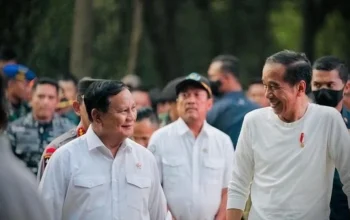 Jokowi Siap Keliling Indonesia, Projo Bantah Tudingan demi Gibran di Pilpres 2029