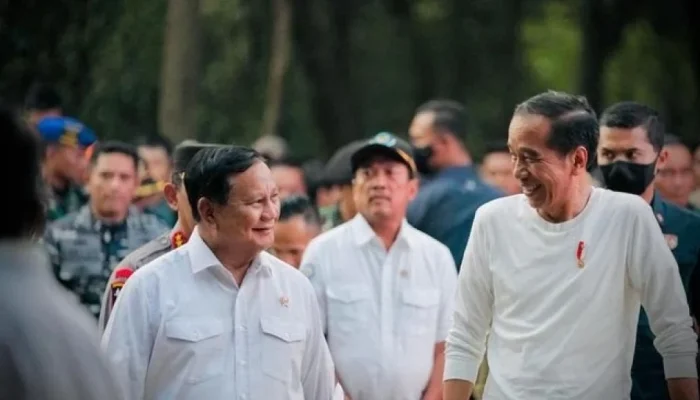 Jokowi Siap Keliling Indonesia, Projo Bantah Tudingan demi Gibran di Pilpres 2029