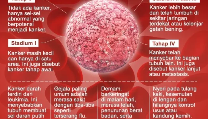 Kanker: Penyakit yang Mengancam Banyak Orang, Apa yang Bisa Dilakukan?