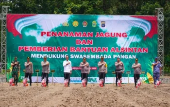 Kapolri: Program Penanaman Jagung Polri Sukses, Mendukung Swasembada Pangan Nasional