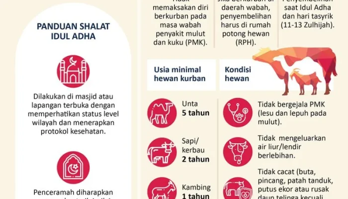Kemenag Buka Tabir: Tidak Ada Larangan Kurban Pribadi, Ini Panduan Sah Idul Adha 2026