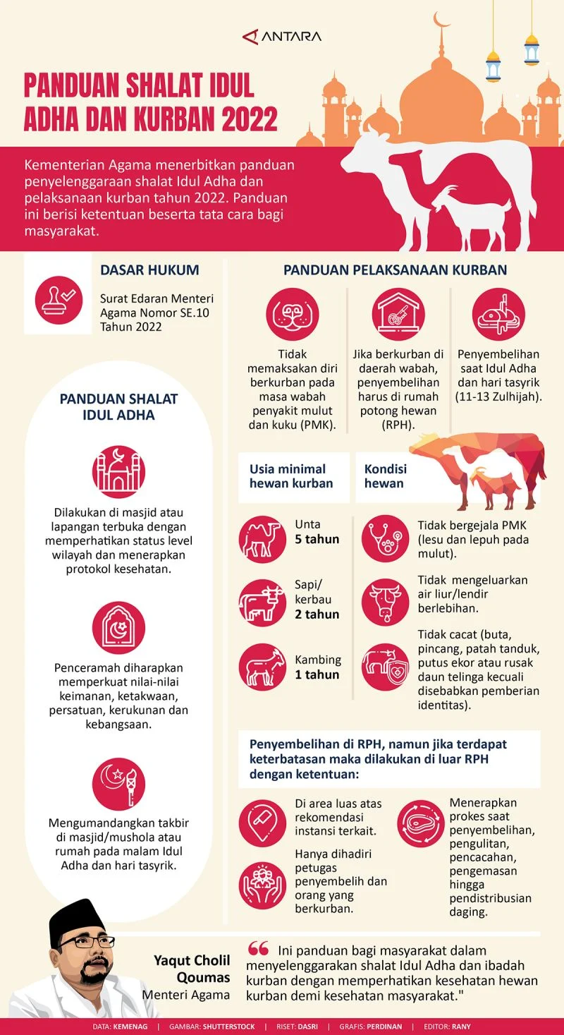 Kemenag Buka Tabir: Tidak Ada Larangan Kurban Pribadi, Ini Panduan Sah Idul Adha 2026
