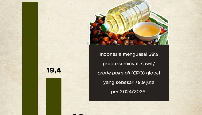 Kondisi Minyak Sawit Indonesia: Tantangan dan Peluang