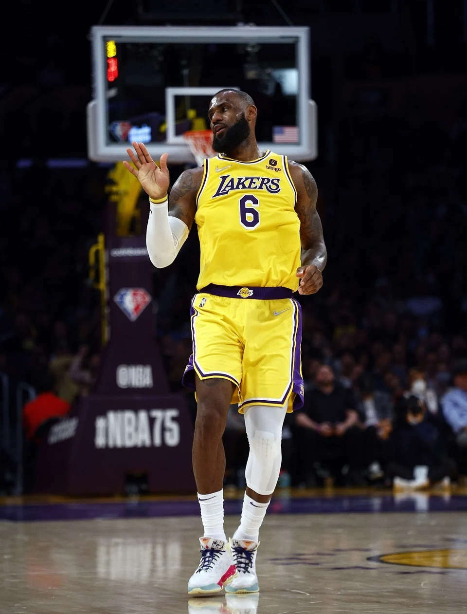 LeBron James, Bintang Lakers yang Menginspirasi