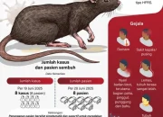Mengenal Hantavirus: Sejarah, Gejala, dan Langkah Pencegahan
