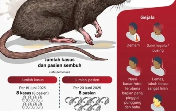Mengenal Hantavirus: Sejarah, Gejala, dan Langkah Pencegahan