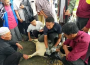 Mengenal Keutamaan Membaca Tahmid Setelah Penyembelihan Kurban