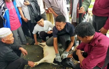 Mengenal Keutamaan Membaca Tahmid Setelah Penyembelihan Kurban