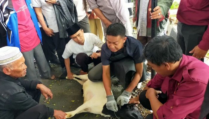 Mengenal Keutamaan Membaca Tahmid Setelah Penyembelihan Kurban