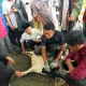 Mengenal Keutamaan Membaca Tahmid Setelah Penyembelihan Kurban