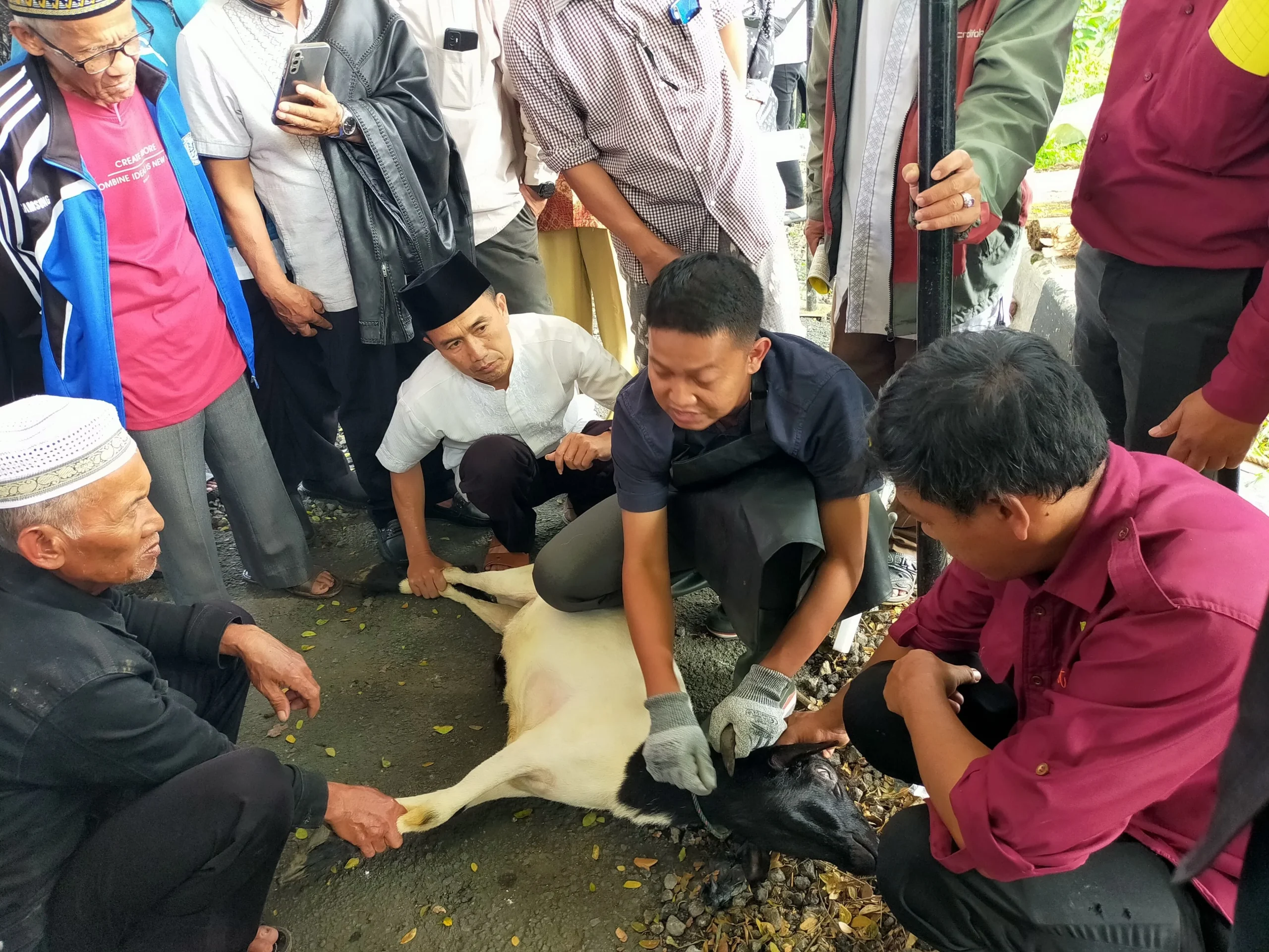 Mengenal Keutamaan Membaca Tahmid Setelah Penyembelihan Kurban