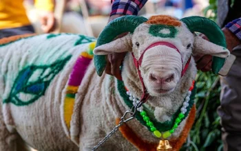 Mumbai Police Cancel Eid-ul-Adha Qurbani Permission, Sementara Brad Williams Berbicara tentang Cancel Culture