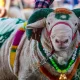 Mumbai Police Cancel Eid-ul-Adha Qurbani Permission, Sementara Brad Williams Berbicara tentang Cancel Culture