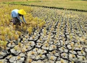 Musim Kemarau: Ancaman Kekeringan dan Peluang Bisnis