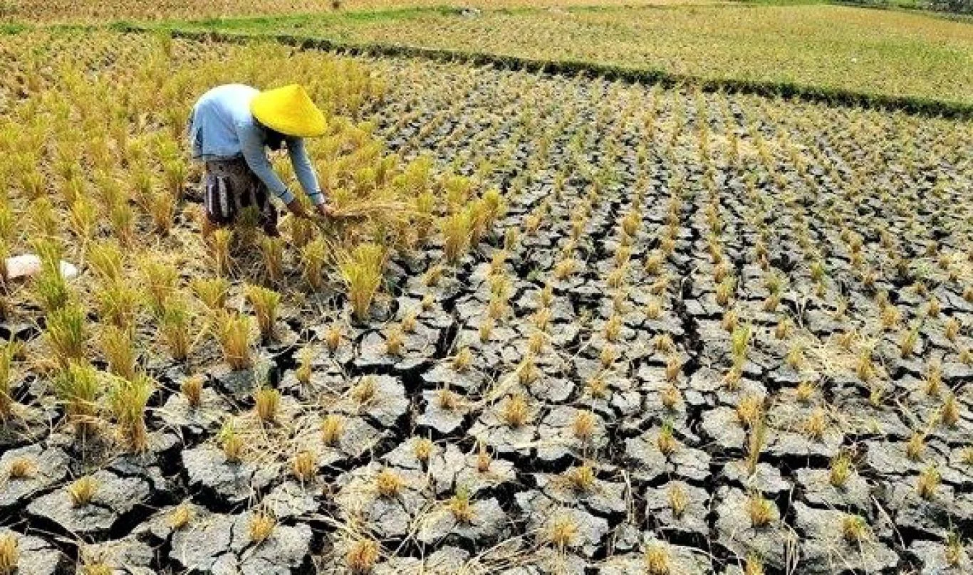 Musim Kemarau: Ancaman Kekeringan dan Peluang Bisnis