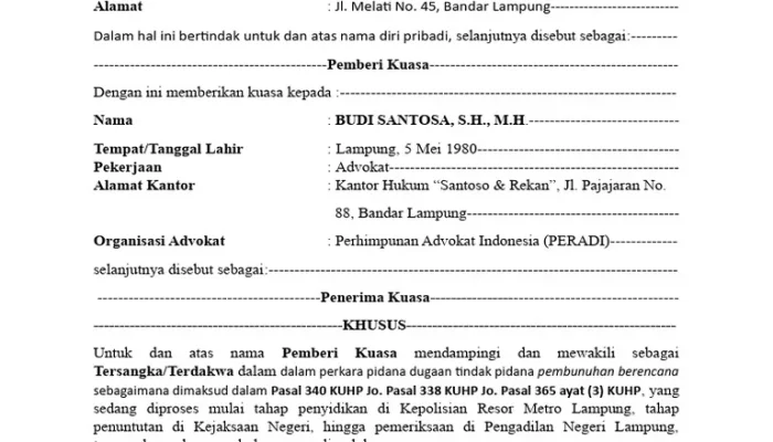 Nasib Togar Situmorang: Ketika Surat Kuasa Berubah Jadi Jerat Pidana