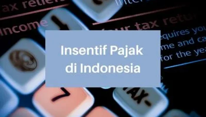 Pajak Wisata dan Insentif Pajak Penulis Buku: Upaya Pemerintah untuk Meningkatkan Penerimaan Negara