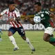 Palmeiras Goleia Junior Barranquilla dan Melaju ke Babak Selanjutnya Copa Libertadores
