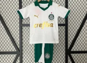 Palmeiras Mundur dari Tawaran Nino, Barboza Siap Bergabung
