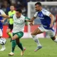 Palmeiras vs Cruzeiro: Persaingan Sengit di Libertadores