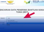 Panduan Lengkap Cek Bansos 2026 Menggunakan Nomor Induk Kependudukan (NIK)