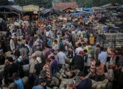 Pasar Video dan Peristiwa Terkini