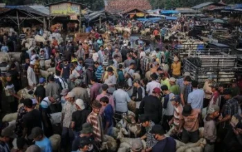 Pasar Video dan Peristiwa Terkini