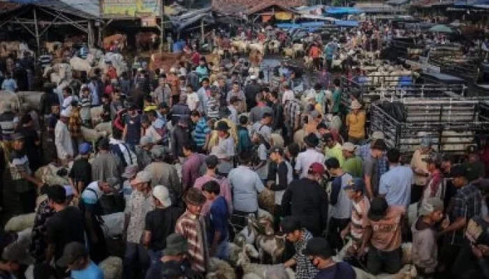 Pasar Video dan Peristiwa Terkini
