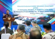 Pemerintah Incar CNG sebagai Alternatif LPG, Apa Kelebihannya?